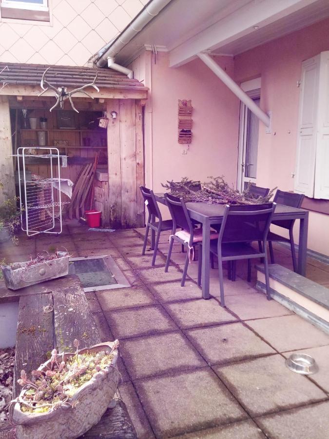 Spacieux Appartement Dans Le Centre De Munster Munster  Dış mekan fotoğraf