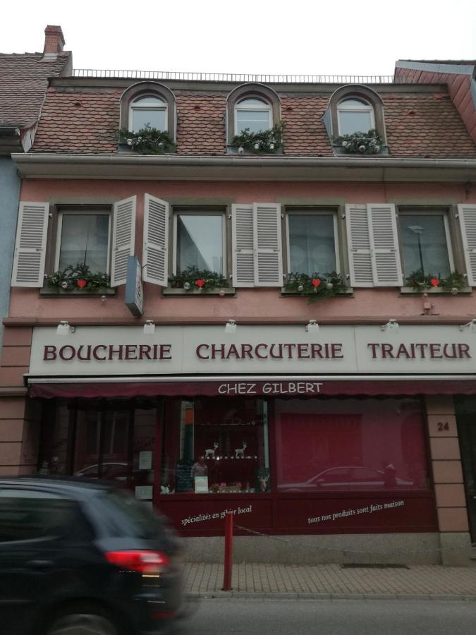 Spacieux Appartement Dans Le Centre De Munster Munster  Dış mekan fotoğraf